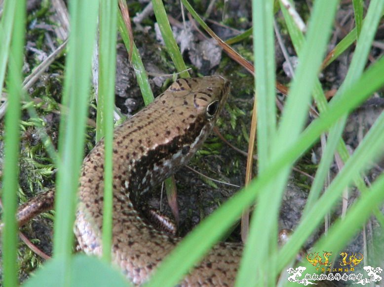很久没有出去混了-上午