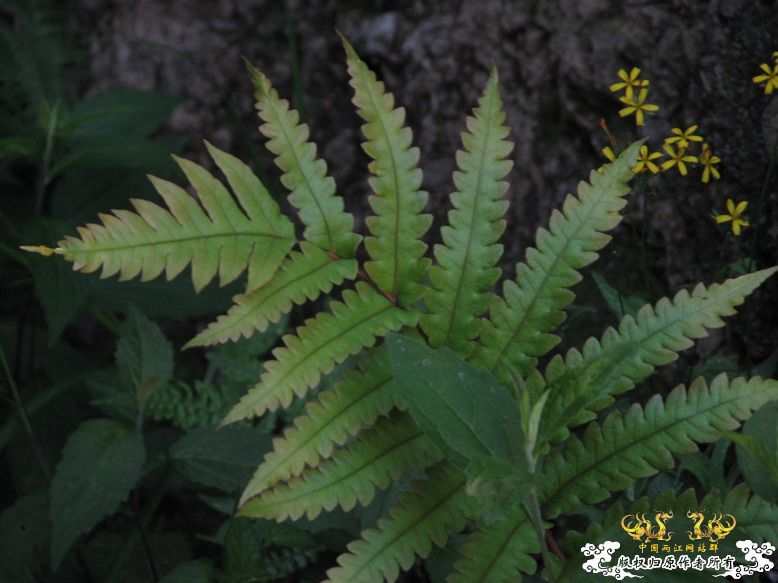 很久没有出去混了-上午