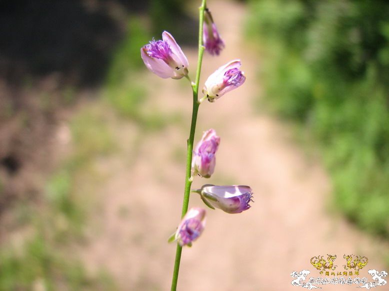 很久没有出去混了-上午