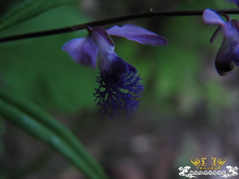 很久没有出去混了-上午