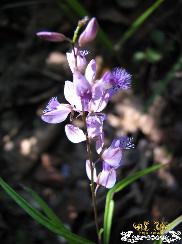 很久没有出去混了-上午