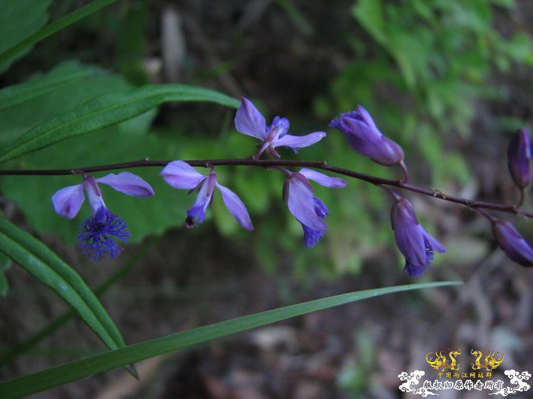 很久没有出去混了-上午