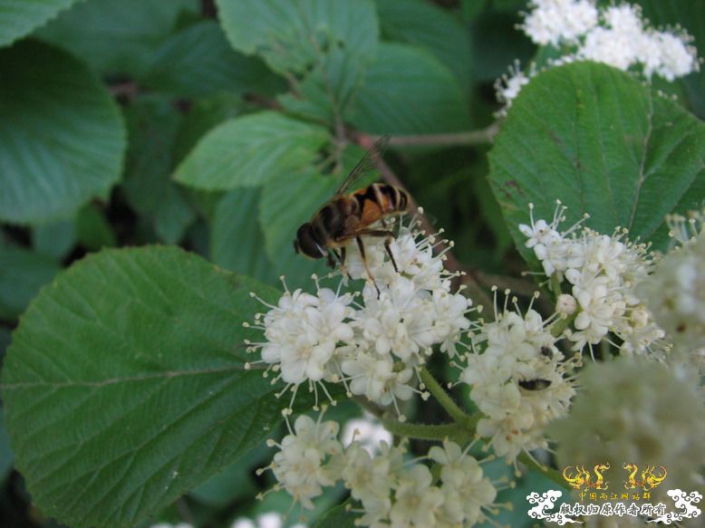 很久没有出去混了-上午