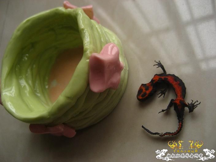生前生后