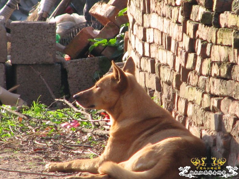 很久没有出去混了-上午