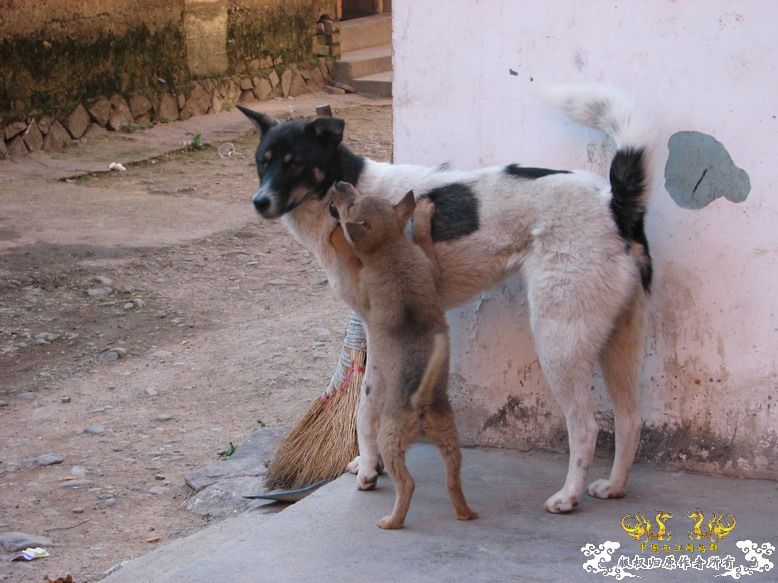 很久没有出去混了-上午