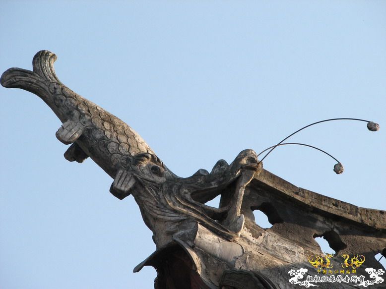 很久没有出去混了-上午