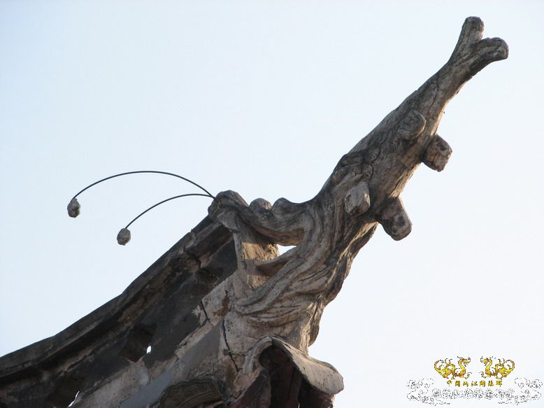 很久没有出去混了-上午