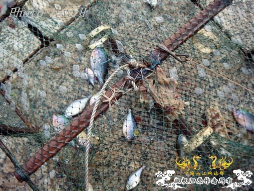 [原创]徐州原生群 09年 首次“高体”野外环境考察