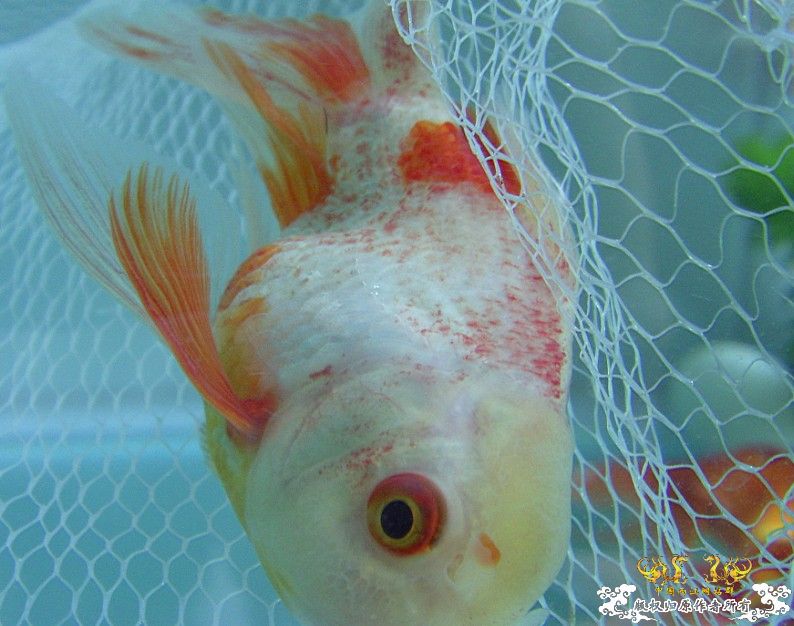 高手看下还有救吗?