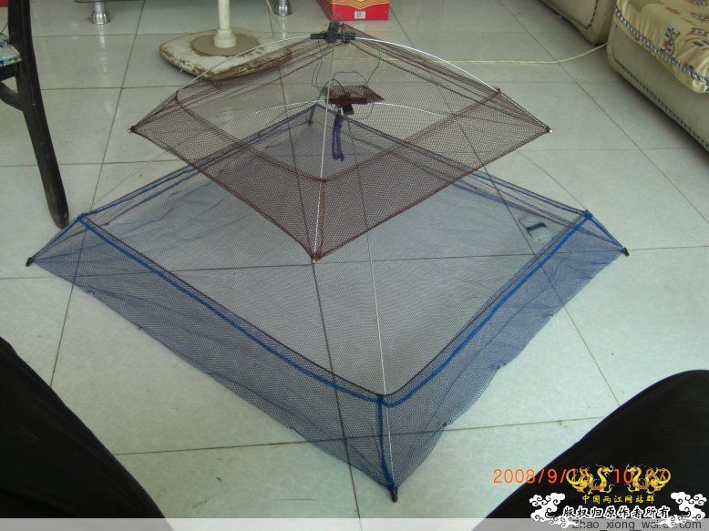 怎样才能抓到鰟鮍鱼