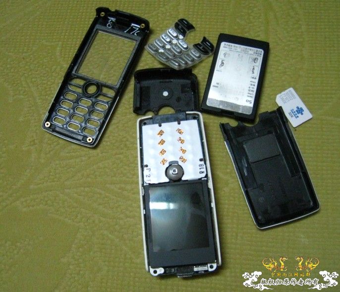 昨天去钓鱼~代价好大啊!!