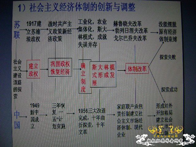 草龟蛋