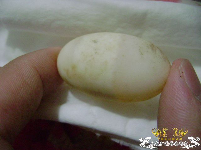 草龟蛋