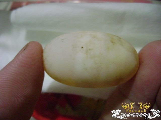 草龟蛋