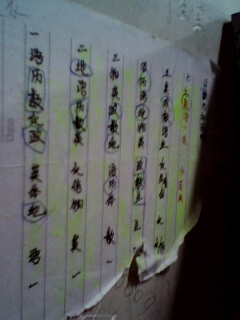 课余乱拍(无鱼)