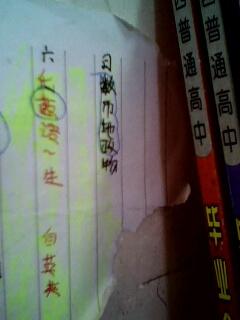 课余乱拍(无鱼)