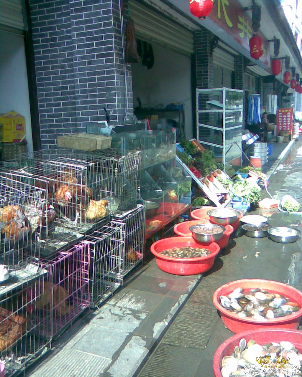 [分享][分享]都江堰河鲜店！
