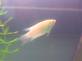 潜水太久我也发下我的宝贝!