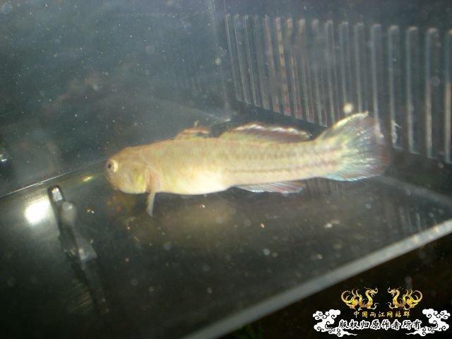 1对不错的圆