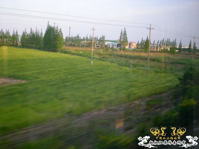 丽水之行（野采篇）