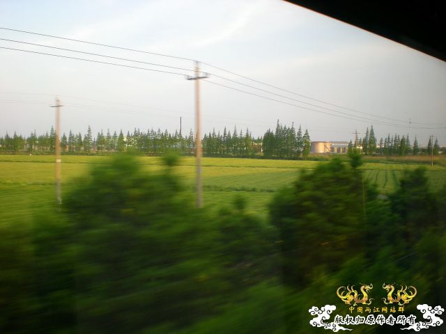 丽水之行（野采篇）