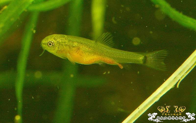 召唤翻译达人！！！！！！！！！！！！！！！！！！！！！！！！！！！！！！！！！！！！！！！