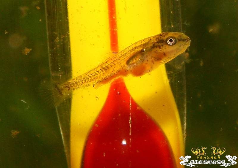 召唤翻译达人！！！！！！！！！！！！！！！！！！！！！！！！！！！！！！！！！！！！！！！