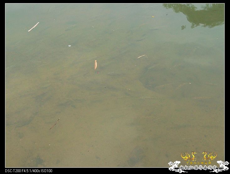 [原创]武夷山印象——天游峰、九曲溪