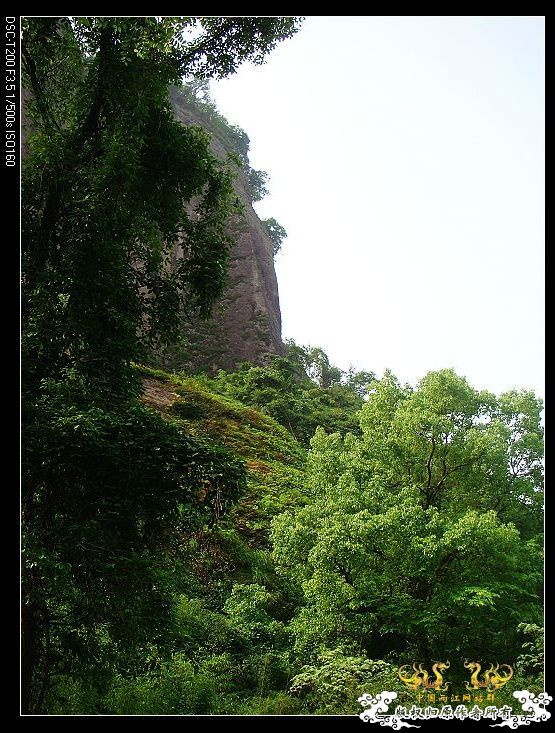 [原创]武夷山印象——国斗群游