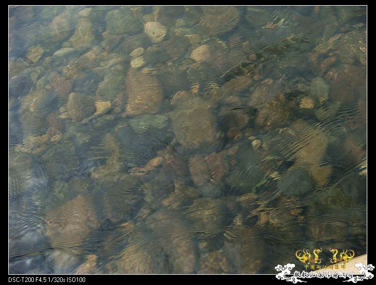 清澈的溪水