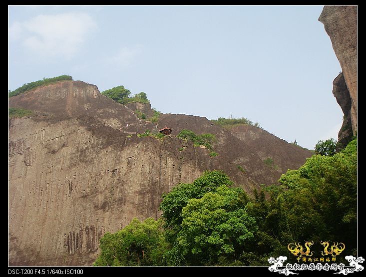 猜猜合照中哪个是我