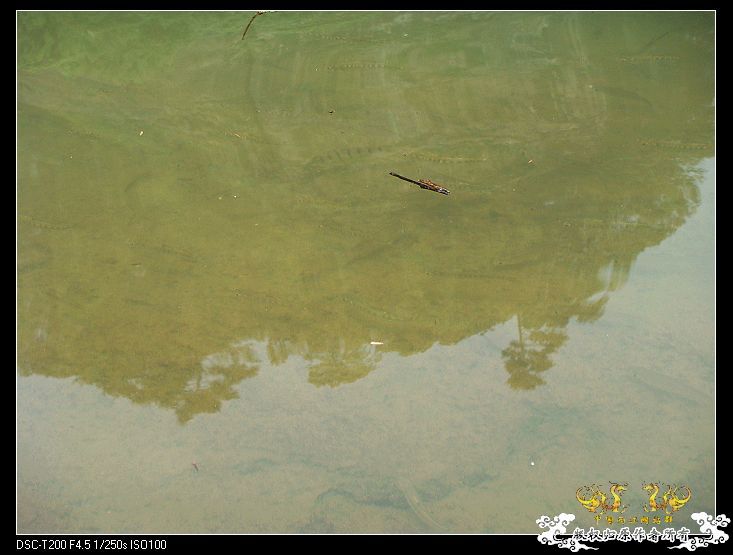 [原创]武夷山印象——国斗群游