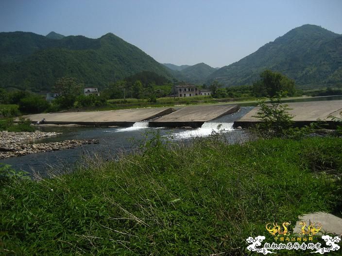 野采-------收获