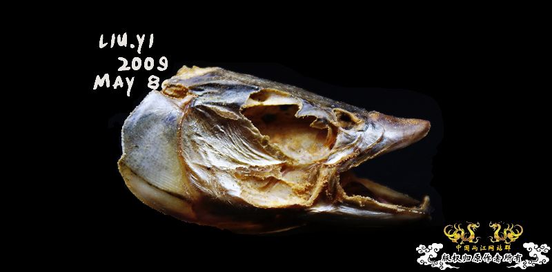 关键词：【高贵的头颅】