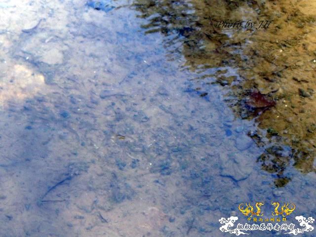[原创]彩石原生地探幽--安徽闵行