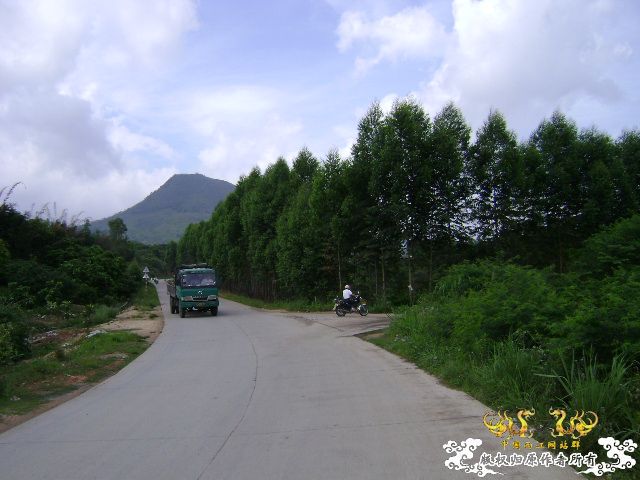 新坡游