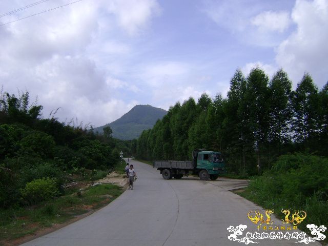 新坡游