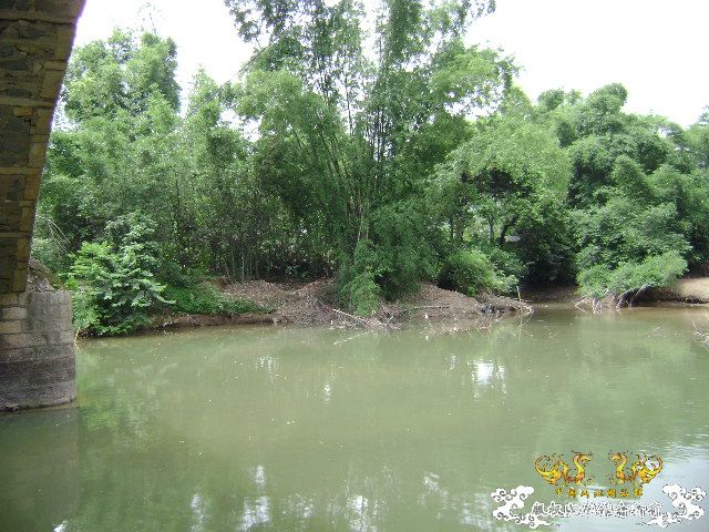 新坡游