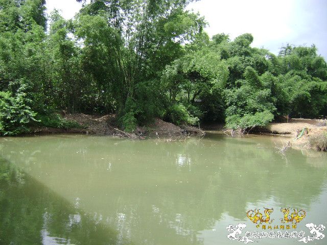新坡游