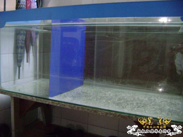 一个缸