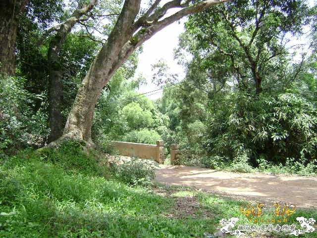 再次新坡游