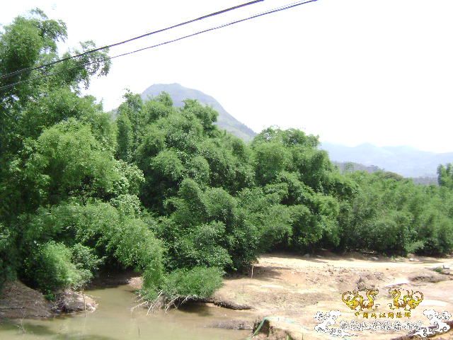 再次新坡游
