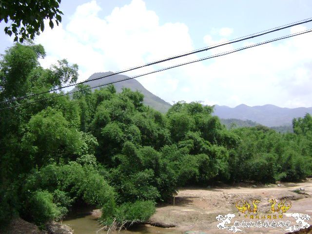 再次新坡游