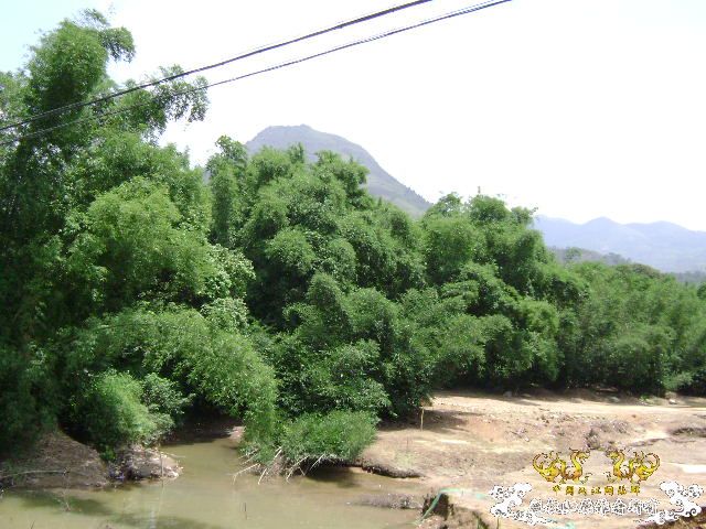 再次新坡游