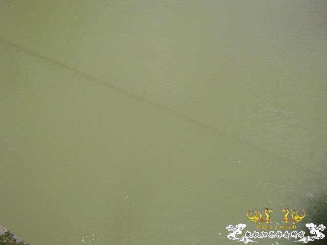 再次新坡游