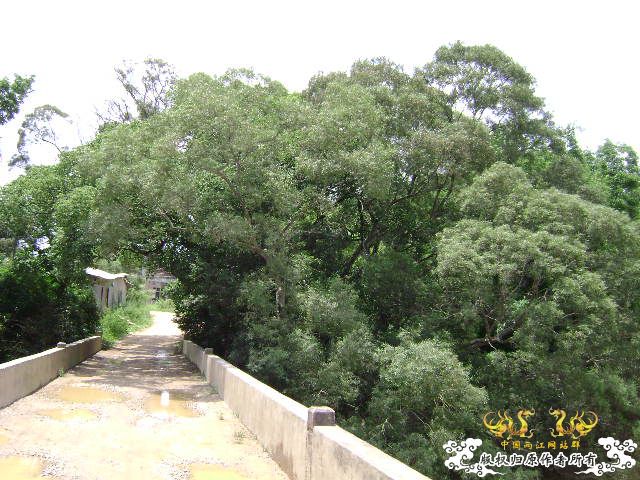 再次新坡游