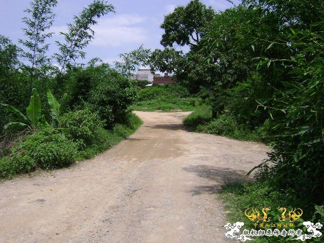 再次新坡游