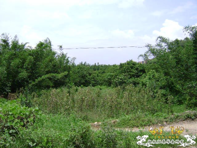 再次新坡游