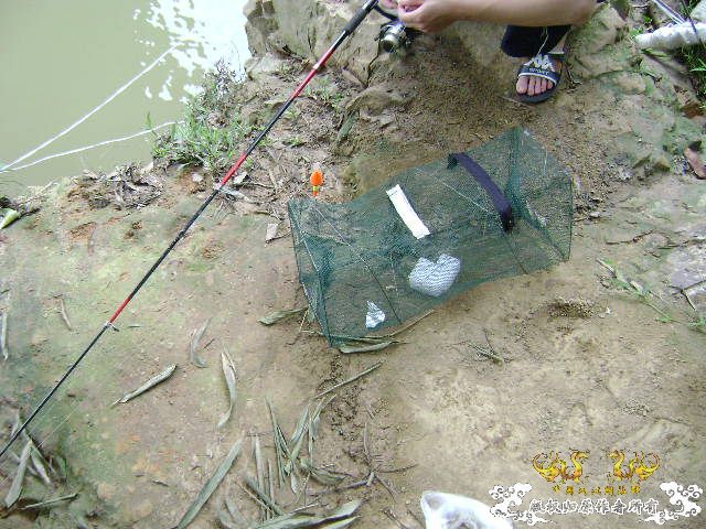 再次新坡游